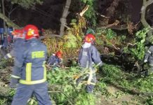 রাজধানীতে গাছ ভেঙে রাস্তা বন্ধ