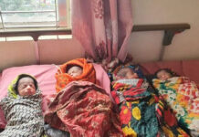একসঙ্গে ৪ সন্তানের জন্ম