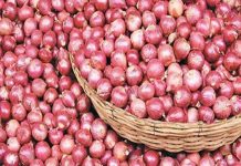 ভারতীয় পেঁয়াজ রোজার আগেই বাজারে ঢুকবে