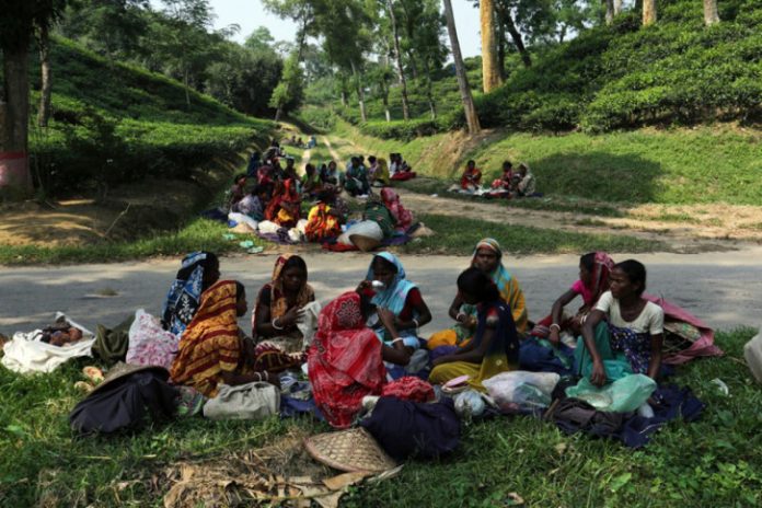 coronavirus_tea_workers