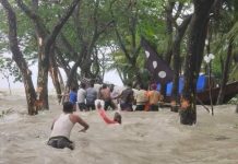 চরফ্যাশনে উপকূলের নিম্নাঞ্চল প্লাবিত, গাছপালা উল্টে পড়েছে