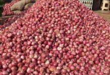 পেঁয়াজের বাজারে স্বস্তি ফিরছে