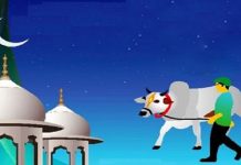 সৌদি আরবে ঈদুল আজহার সম্ভাব্য তারিখ ঘোষণা