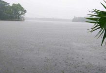 টানা বৃষ্টিতে জলাবদ্ধতায় চরফ্যাশনে মৎস্যসহ ফসলের ক্ষতির আশঙ্কা