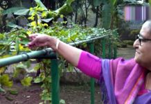 কৃষক লীগ নেতাদের গণভবনের শাক-সবজি উপহার দিলেন শেখ হাসিনা