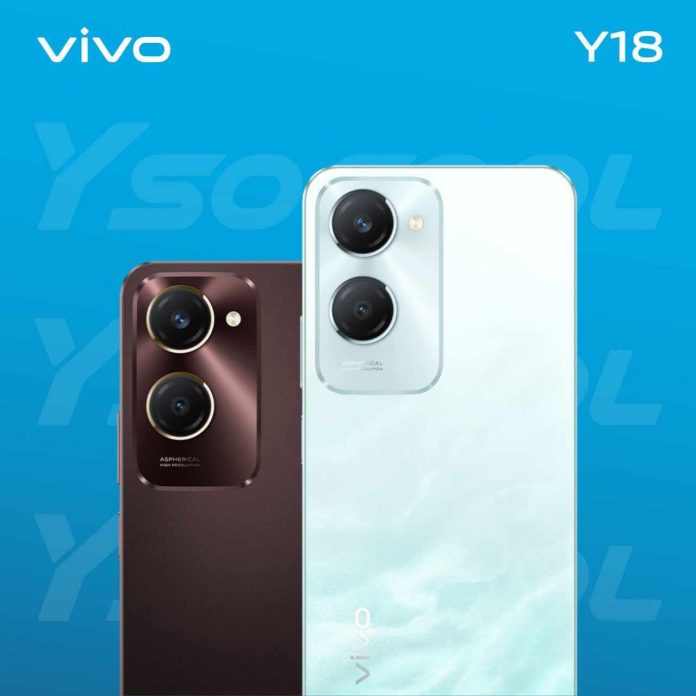 vivo