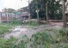 শহীদ মুক্তিযোদ্ধা পরিবারের ভূমি দখলের চেষ্টা