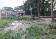 শহীদ মুক্তিযোদ্ধা পরিবারের ভূমি দখলের চেষ্টা